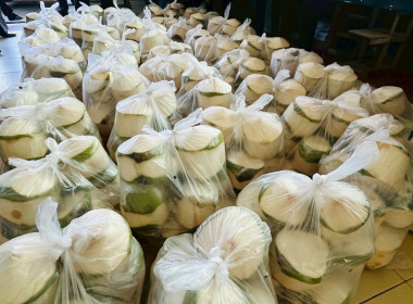 กระจายผลผลิตมะพร้าวน้ำหอม GI ... Image 1