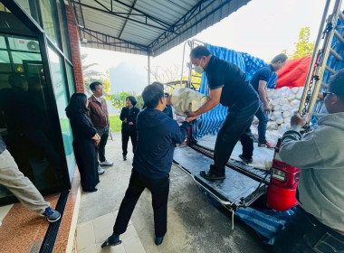 กระจายผลผลิตมะพร้าวน้ำหอม GI ... Image 2