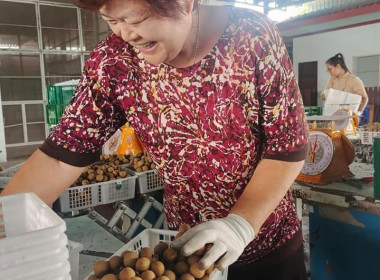 เข้าตรวจเยี่ยมสหกรณ์การเกษตรประตูป่า จำกัด ... พารามิเตอร์รูปภาพ 4