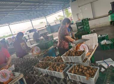 เข้าตรวจเยี่ยมสหกรณ์การเกษตรประตูป่า จำกัด ... พารามิเตอร์รูปภาพ 8