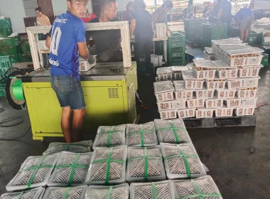 เข้าตรวจเยี่ยมสหกรณ์การเกษตรประตูป่า จำกัด ... พารามิเตอร์รูปภาพ 7