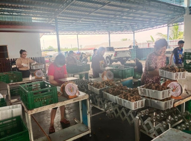 เข้าตรวจเยี่ยมสหกรณ์การเกษตรประตูป่า จำกัด ... พารามิเตอร์รูปภาพ 9