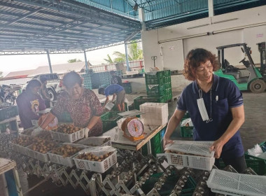 เข้าตรวจเยี่ยมสหกรณ์การเกษตรประตูป่า จำกัด ... พารามิเตอร์รูปภาพ 10