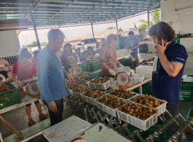 เข้าตรวจเยี่ยมสหกรณ์การเกษตรประตูป่า จำกัด ... พารามิเตอร์รูปภาพ 6