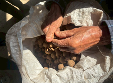 ลงพื้นที่ติดตามผล ... Image 11