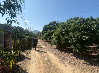 ลงพื้นที่ติดตามผล ... Image 8