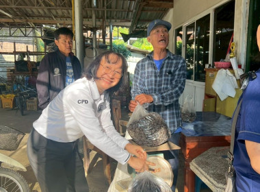 ลงพื้นที่ติดตามผล ... Image 5