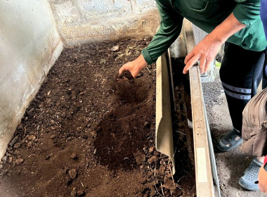 ลงพื้นที่ติดตามผล ... Image 3