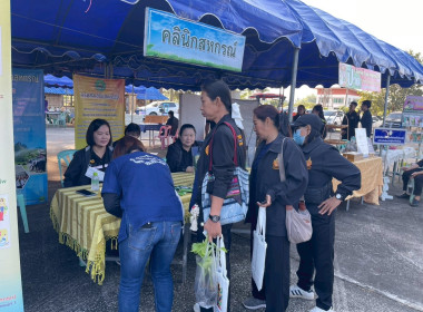 โครงการคลินิกเกษตรเคลื่อนที่ในพระราชานุเคราะห์ฯ จังหวัดลำพูน Image 3