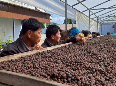 ประชุมเชิงปฏิบัติการพัฒนาศักยภาพการดำเนินธุรกิจแปรรูปเพื่อยกระดับให้สหกรณ์และกลุ่มเกษตรกร ... Image 8