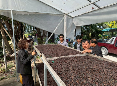 ประชุมเชิงปฏิบัติการพัฒนาศักยภาพการดำเนินธุรกิจแปรรูปเพื่อยกระดับให้สหกรณ์และกลุ่มเกษตรกร ... Image 2