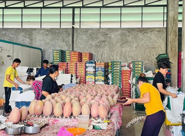 ลงพื้นที่ตรวจเยี่ยม และให้กำลังใจสหกรณ์การเกษตรบ้านโฮ่ง ... พารามิเตอร์รูปภาพ 10