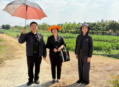 ลงพื้นที่เพื่อแนะนำ ส่งเสริม ... Image 5