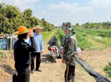 ลงพื้นที่เพื่อแนะนำ ส่งเสริม ... Image 2