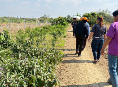 ลงพื้นที่เพื่อแนะนำ ส่งเสริม ... Image 4