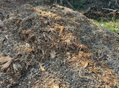 ติดตามผลการการดำเนินงานหลังการอบรมสมาชิกสหกรณ์ในการจัดทำแผนการบริหารจัดการวัสดุเหลือใช้ทางการเกษตร ... Image 5