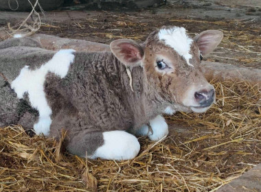 ติดตามผลการการดำเนินงานหลังการอบรมสมาชิกสหกรณ์ในการจัดทำแผนการบริหารจัดการวัสดุเหลือใช้ทางการเกษตร ... Image 6