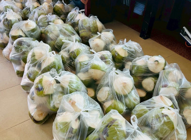 ช่วยกระจายผลผลิตมะพร้าวน้ำหอมของสหกรณ์การเกษตรบ้านแพ้ว ... Image 9