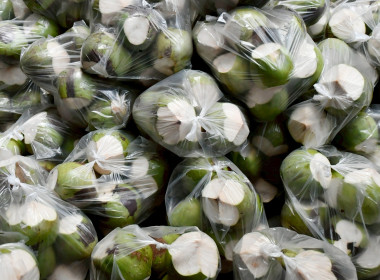 ช่วยกระจายผลผลิตมะพร้าวน้ำหอมของสหกรณ์การเกษตรบ้านแพ้ว ... Image 3