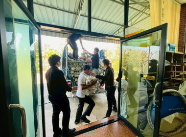 ช่วยกระจายผลผลิตมะพร้าวน้ำหอมของสหกรณ์การเกษตรบ้านแพ้ว ... Image 7