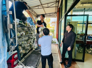 ช่วยกระจายผลผลิตมะพร้าวน้ำหอมของสหกรณ์การเกษตรบ้านแพ้ว ... Image 8