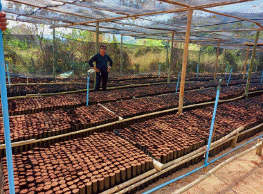 เข้าแนะนำ ... Image 2