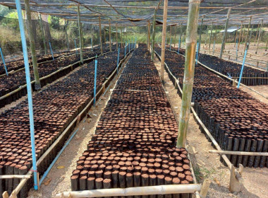 เข้าแนะนำ ... Image 3