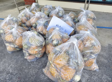 ช่วยกระจายผลผลิต ... Image 8