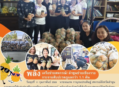 ช่วยกระจายผลผลิต ... Image 9