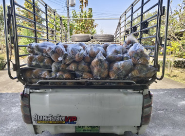 ช่วยกระจายผลผลิต ... Image 1