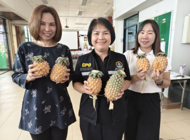 ช่วยกระจายผลผลิต ... Image 4