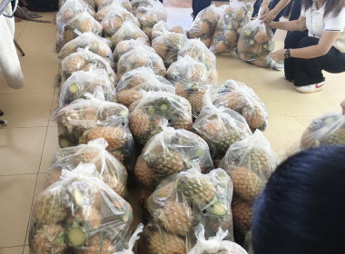 ช่วยกระจายผลผลิต ... Image 6