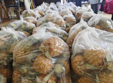 ช่วยกระจายผลผลิต ... Image 7