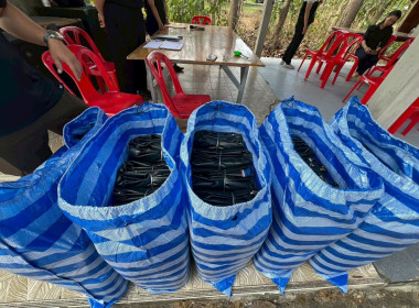 กิจกรรมส่งเสริมและพัฒนาอาชีพการเพาะเลี้ยงสัตว์น้ำในพื้นที่ ... Image 4