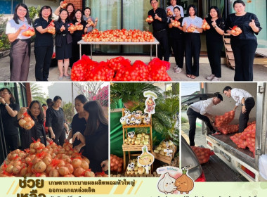 ร่วมดำเนินการกระจายผลผลิตหอมหัวใหญ่ของเกษตรกร ... Image 10