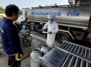 ลงพื้นที่ตรวจนับปริมาณน้ำนมโค ... Image 12