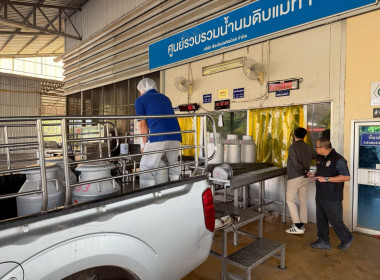 ลงพื้นที่ตรวจนับปริมาณน้ำนมโค ... Image 4