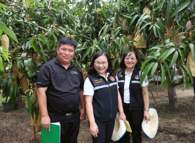 พิจารณาคัดเลือกเกษตรกรดีเด่น สาขาอาชีพทำสวน ระดับเขต ... Image 4