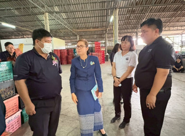 พิจารณาคัดเลือกเกษตรกรดีเด่น สาขาอาชีพทำสวน ระดับเขต ... Image 5
