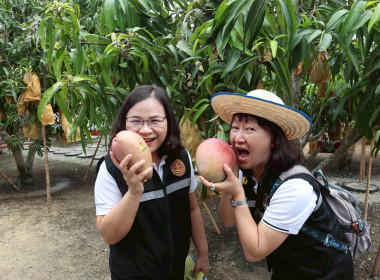 พิจารณาคัดเลือกเกษตรกรดีเด่น สาขาอาชีพทำสวน ระดับเขต ... Image 7