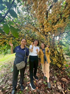 ลงพื้นที่ติดตามผลการดำเนินงานด้านการส่งเสริมและพัฒนาอาชีพในพื้นที่ คทช. ... Image 1