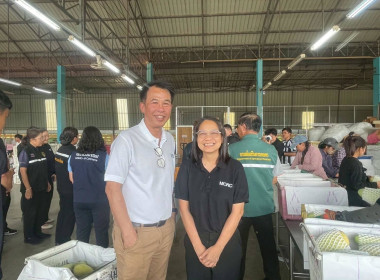 ลงพื้นที่ติดตามสถานการณ์มะม่วงและจุดรับซื้อผลผลิตมะม่วง ... Image 4