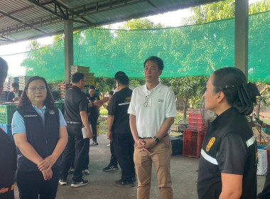 ลงพื้นที่ติดตามสถานการณ์มะม่วงและจุดรับซื้อผลผลิตมะม่วง ... Image 6