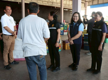 ลงพื้นที่ติดตามสถานการณ์มะม่วงและจุดรับซื้อผลผลิตมะม่วง ... Image 8