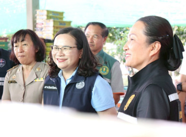 ลงพื้นที่ติดตามสถานการณ์มะม่วงและจุดรับซื้อผลผลิตมะม่วง ... Image 12