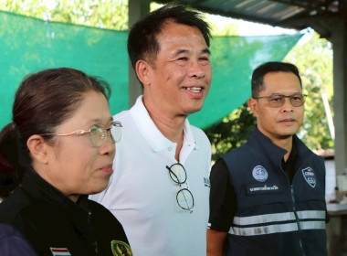 ลงพื้นที่ติดตามสถานการณ์มะม่วงและจุดรับซื้อผลผลิตมะม่วง ... Image 13
