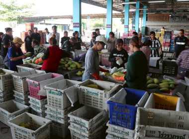 ลงพื้นที่ติดตามสถานการณ์มะม่วงและจุดรับซื้อผลผลิตมะม่วง ... Image 14