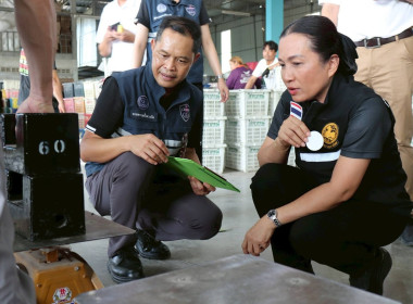 ลงพื้นที่ติดตามสถานการณ์มะม่วงและจุดรับซื้อผลผลิตมะม่วง ... Image 15