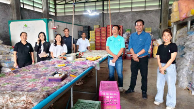 ลงพื้นที่ตรวจเยี่ยมจุดรวบรวมและคัดบรรจุผลผลิตทางการเกษตรของสหกรณ์การเกษตรบ้านโฮ่ง จำกัด ... Image 1