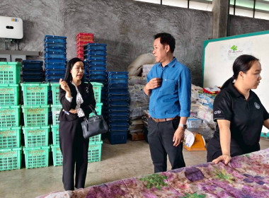 ลงพื้นที่ตรวจเยี่ยมจุดรวบรวมและคัดบรรจุผลผลิตทางการเกษตรของสหกรณ์การเกษตรบ้านโฮ่ง จำกัด ... Image 4